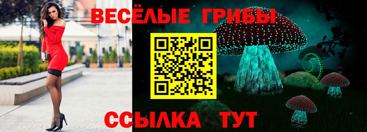 Псилоцибиновые грибы GOLDEN TEACHER Жуковский